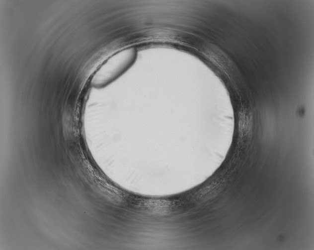 X0000115231068200912111024