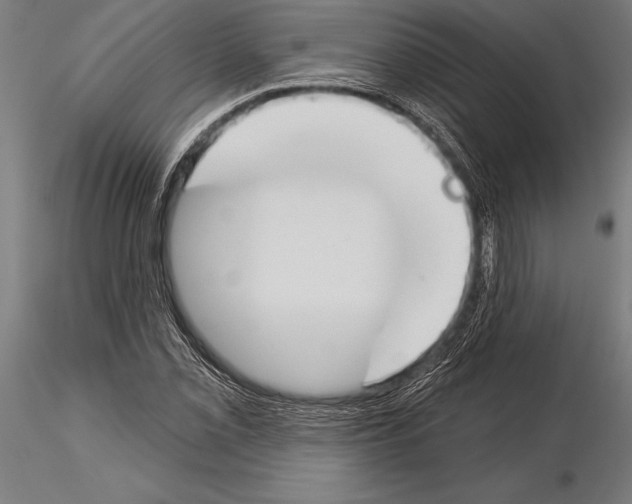 X0000115231069200912111024