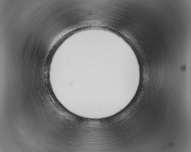 X0000115231070200912111024