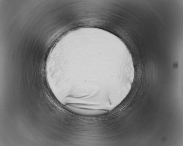 X0000115231071200912111024