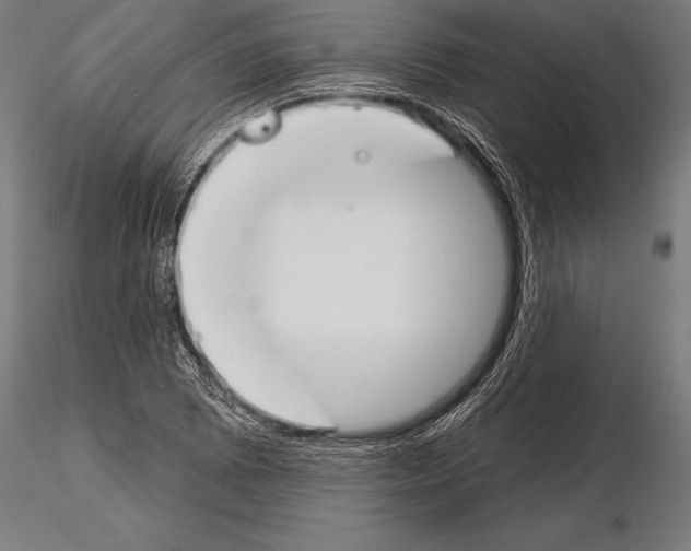 X0000115231073200912111024