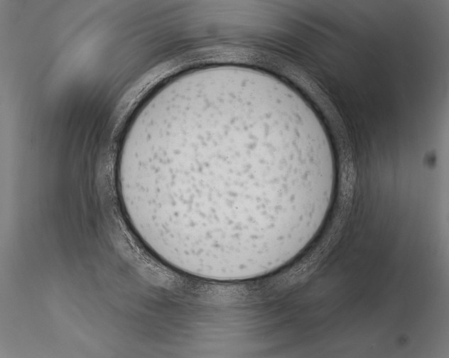 X0000115231074200912111024