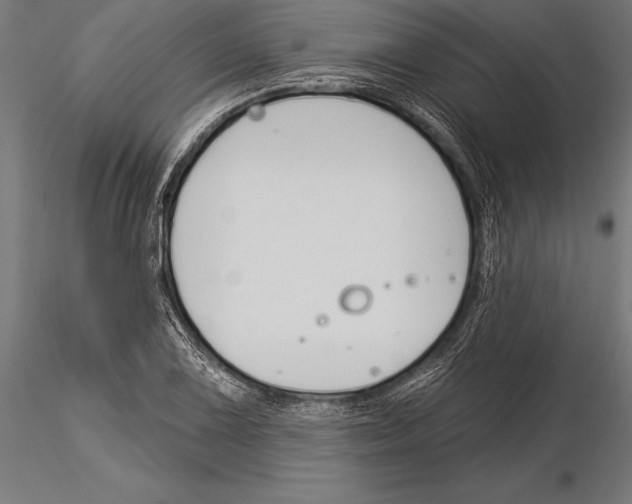 X0000115231075200912111024