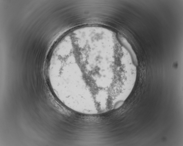 X0000115231076200912111024