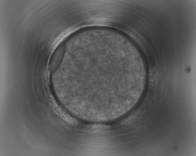 X0000115231077200912111024