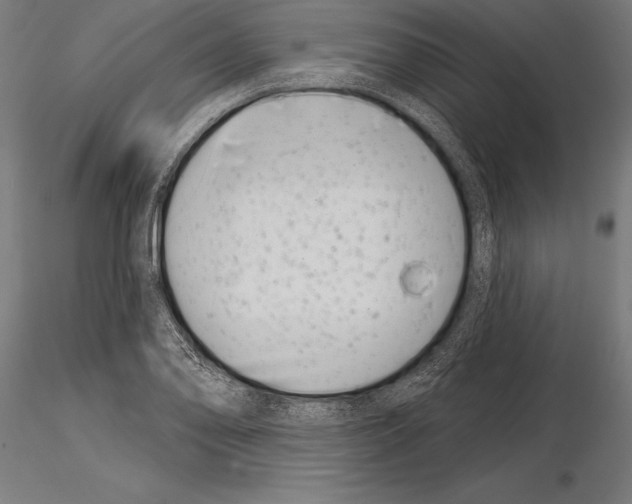 X0000115231078200912111024