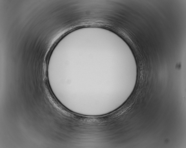 X0000115231079200912111024