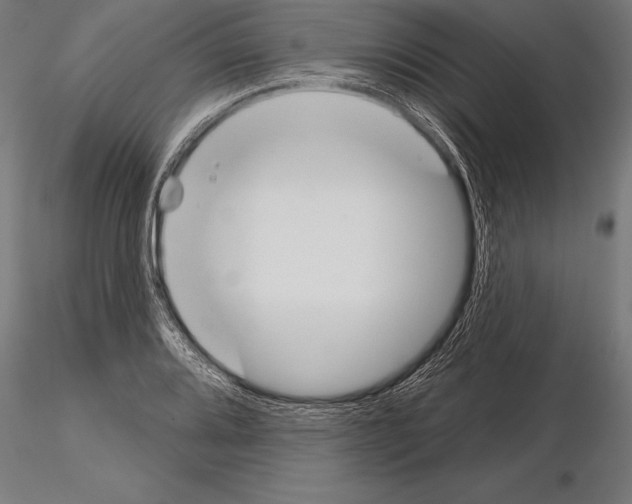 X0000115231080200912111024