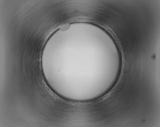 X0000115231081200912111024