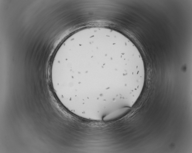 X0000115231083200912111024