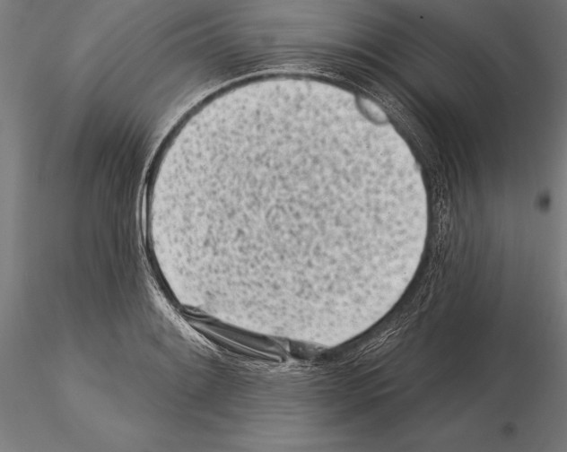 X0000115231084200912111024