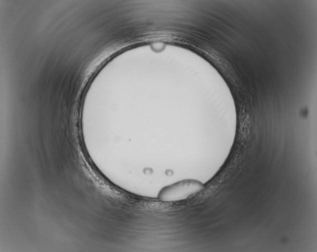 X0000115231086200912111024