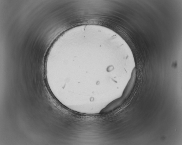 X0000115231087200912111024