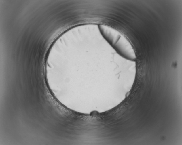 X0000115231088200912111024