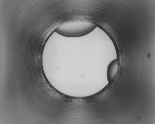 X0000115231089200912111024