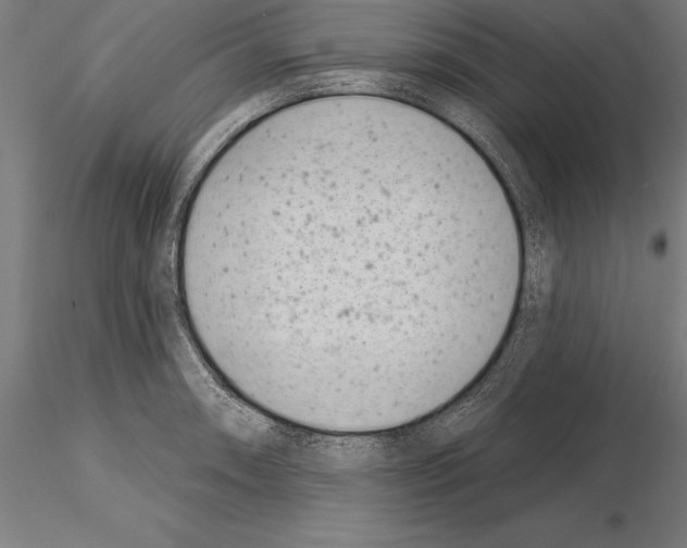 X0000115231090200912111024