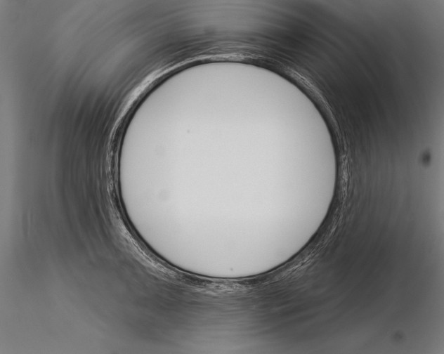 X0000115231091200912111024