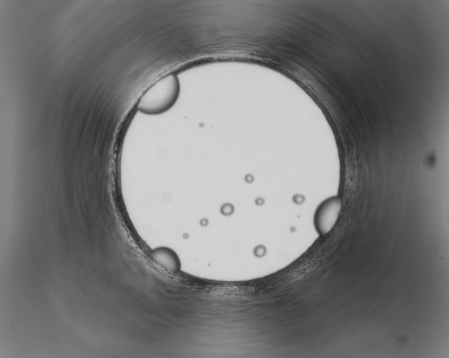 X0000115231093200912111024