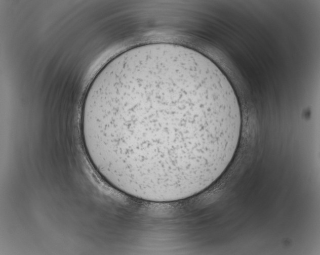 X0000115231094200912111024