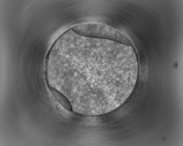 X0000115231096200912111024