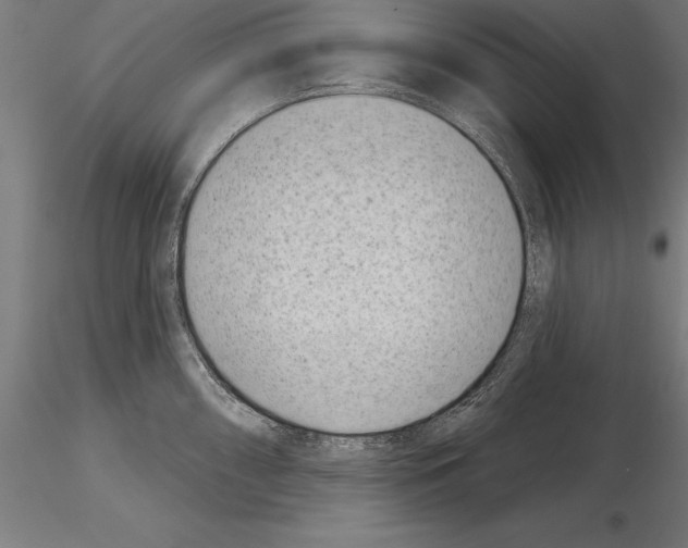 X0000115231098200912111024