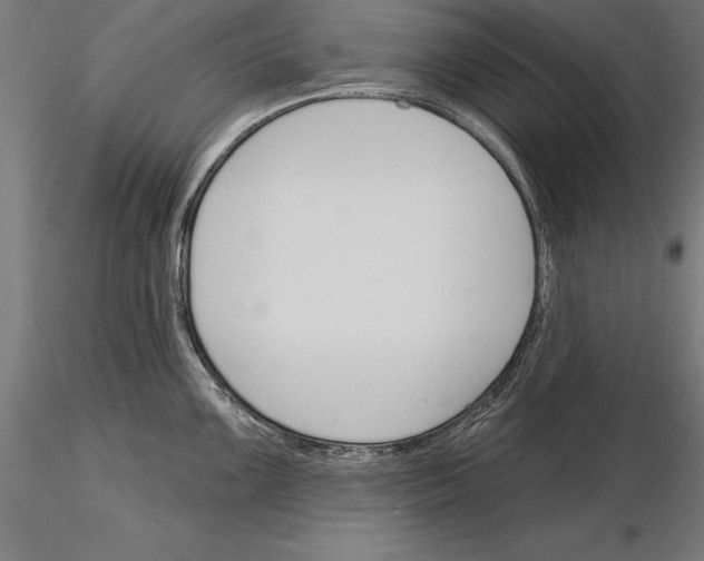 X0000115231099200912111024