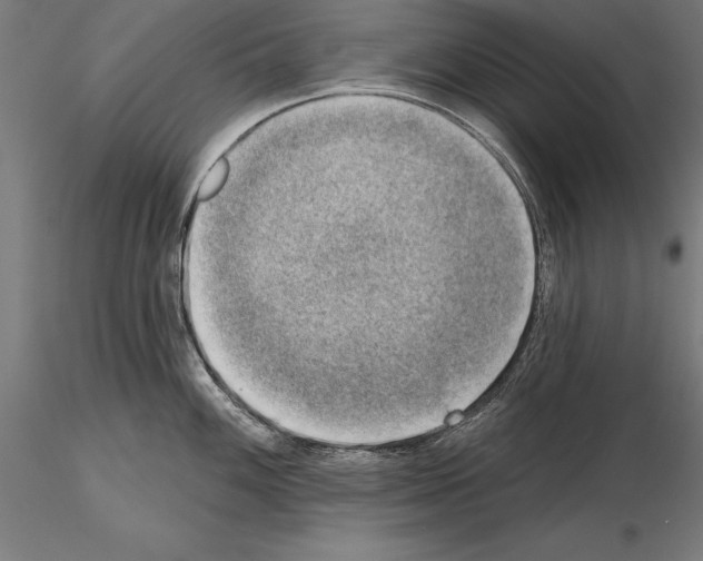 X0000115231100200912111024