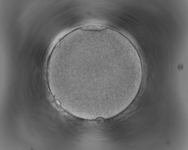 X0000115231104200912111024