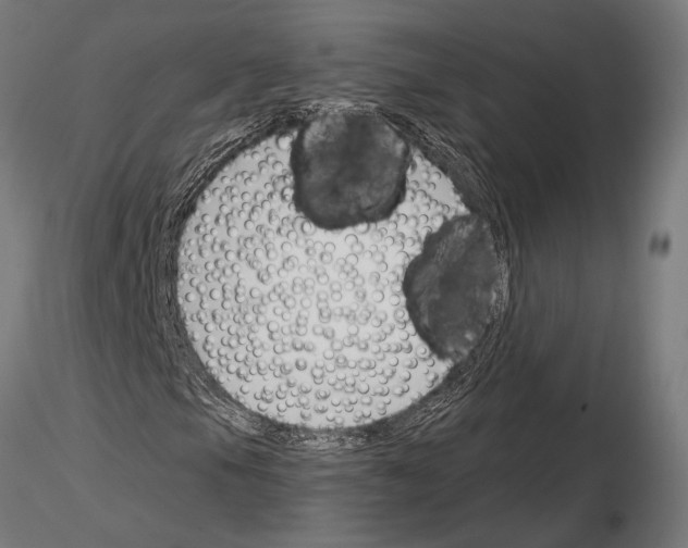 X0000115231105200912111023