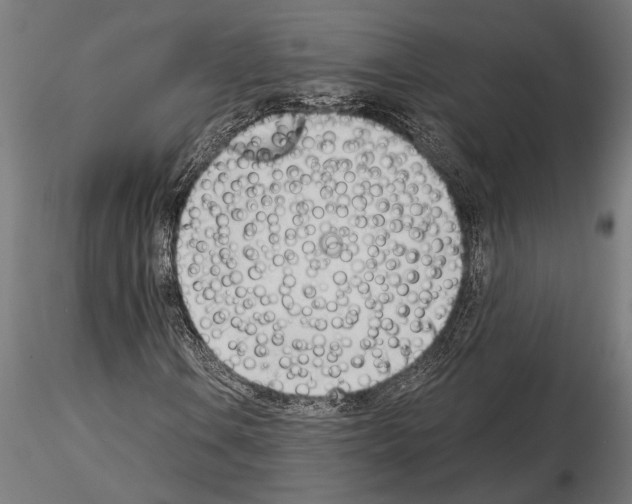 X0000115231106200912111023