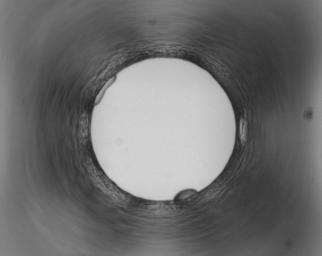 X0000115231107200912111023