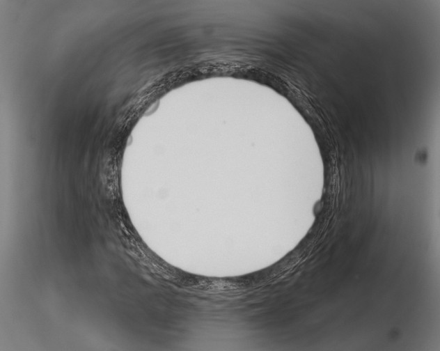 X0000115231109200912111023