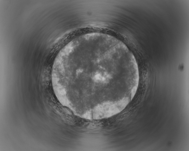 X0000115231110200912111023