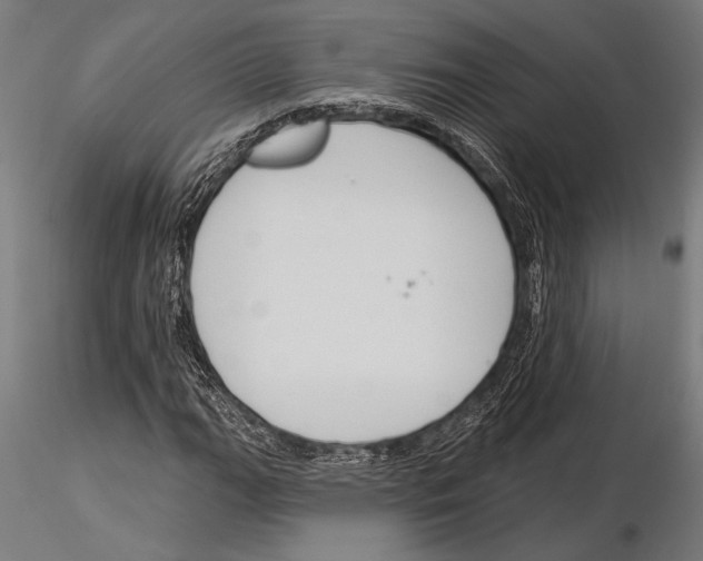 X0000115231111200912111023