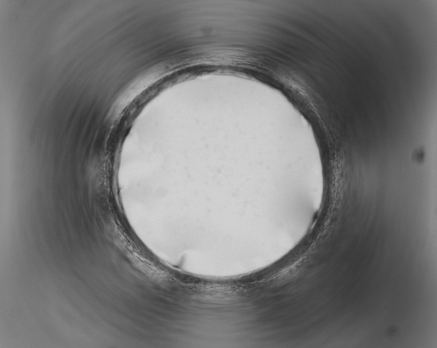 X0000115231114200912111023