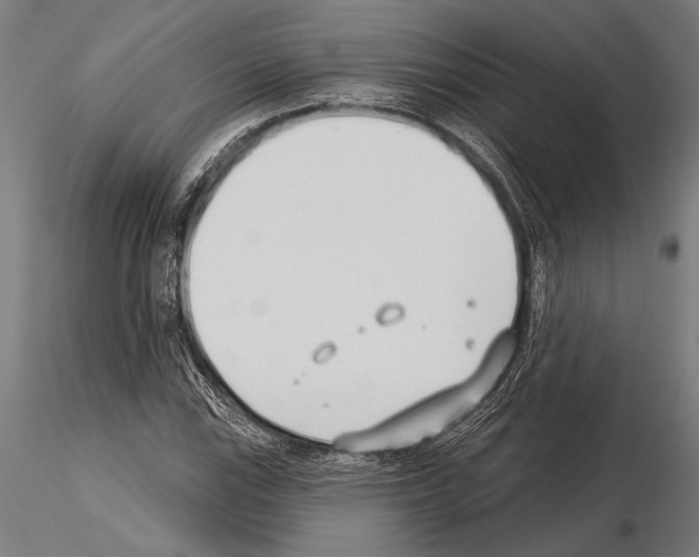 X0000115231115200912111023