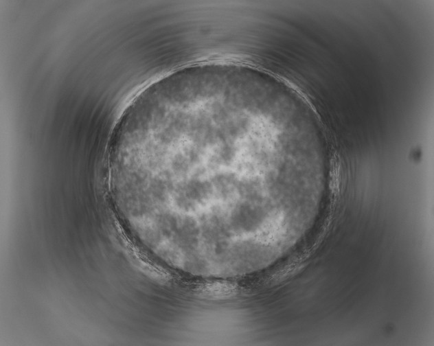 X0000115231117200912111023