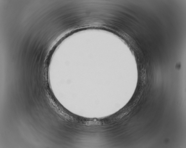 X0000115231118200912111023