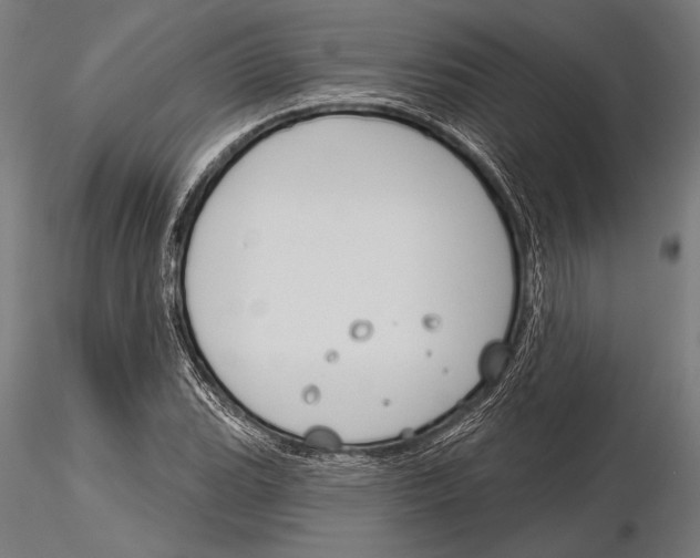 X0000115231119200912111023