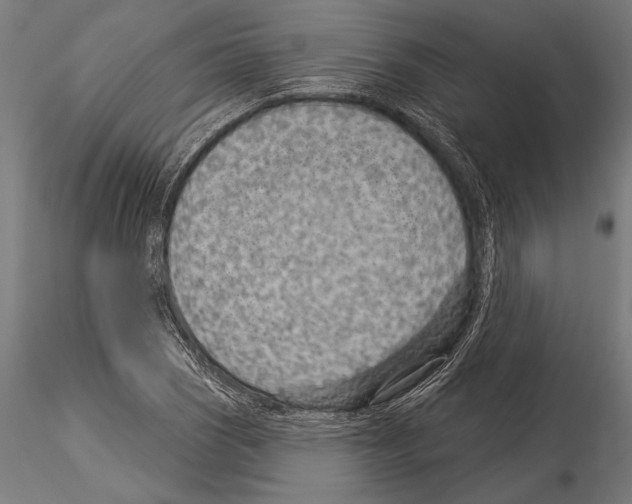 X0000115231121200912111023