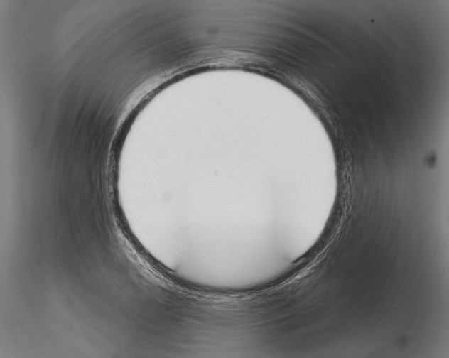 X0000115231122200912111023