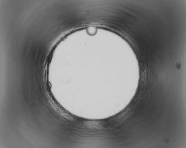 X0000115231126200912111023