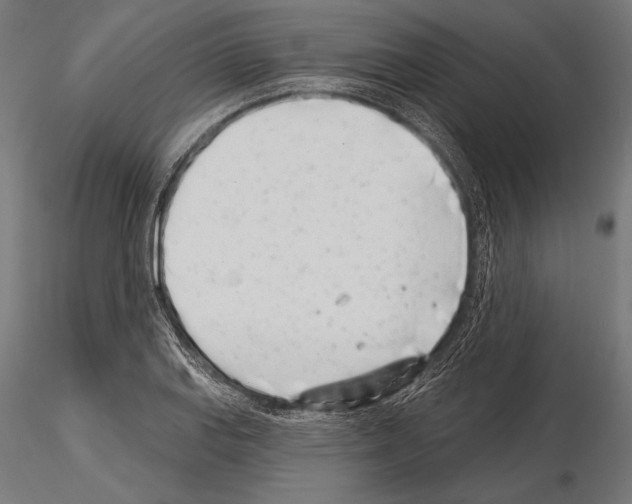 X0000115231127200912111023