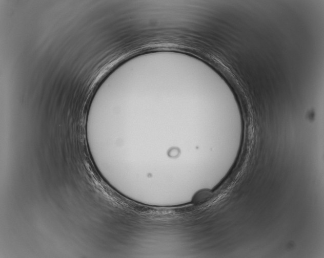 X0000115231129200912111024