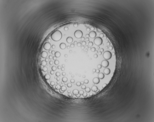 X0000115231130200912111024