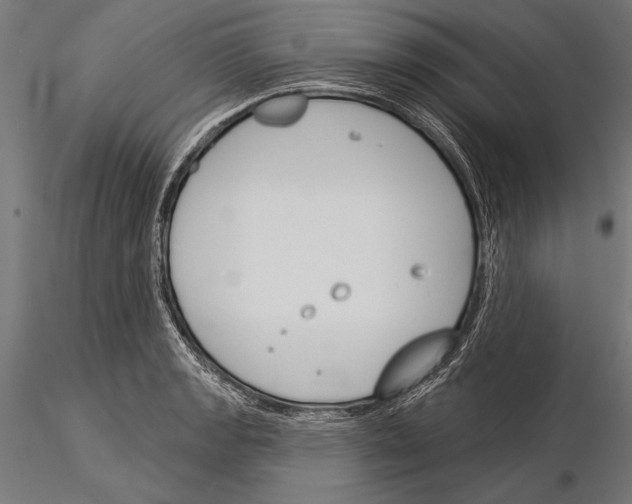 X0000115231133200912111024