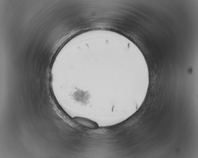 X0000115231134200912111024