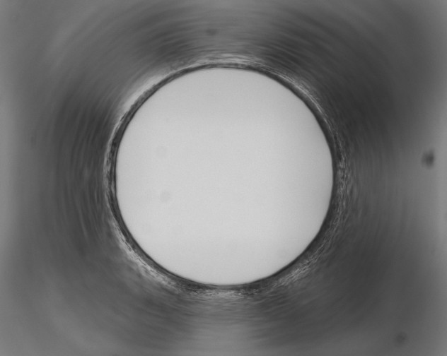 X0000115231135200912111024