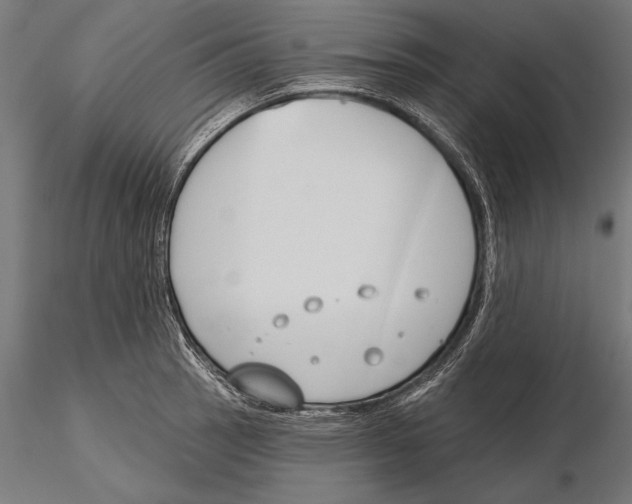 X0000115231137200912111024