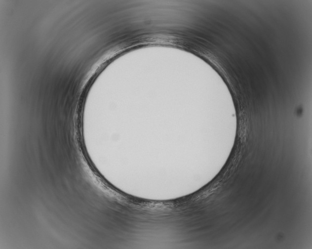 X0000115231139200912111024